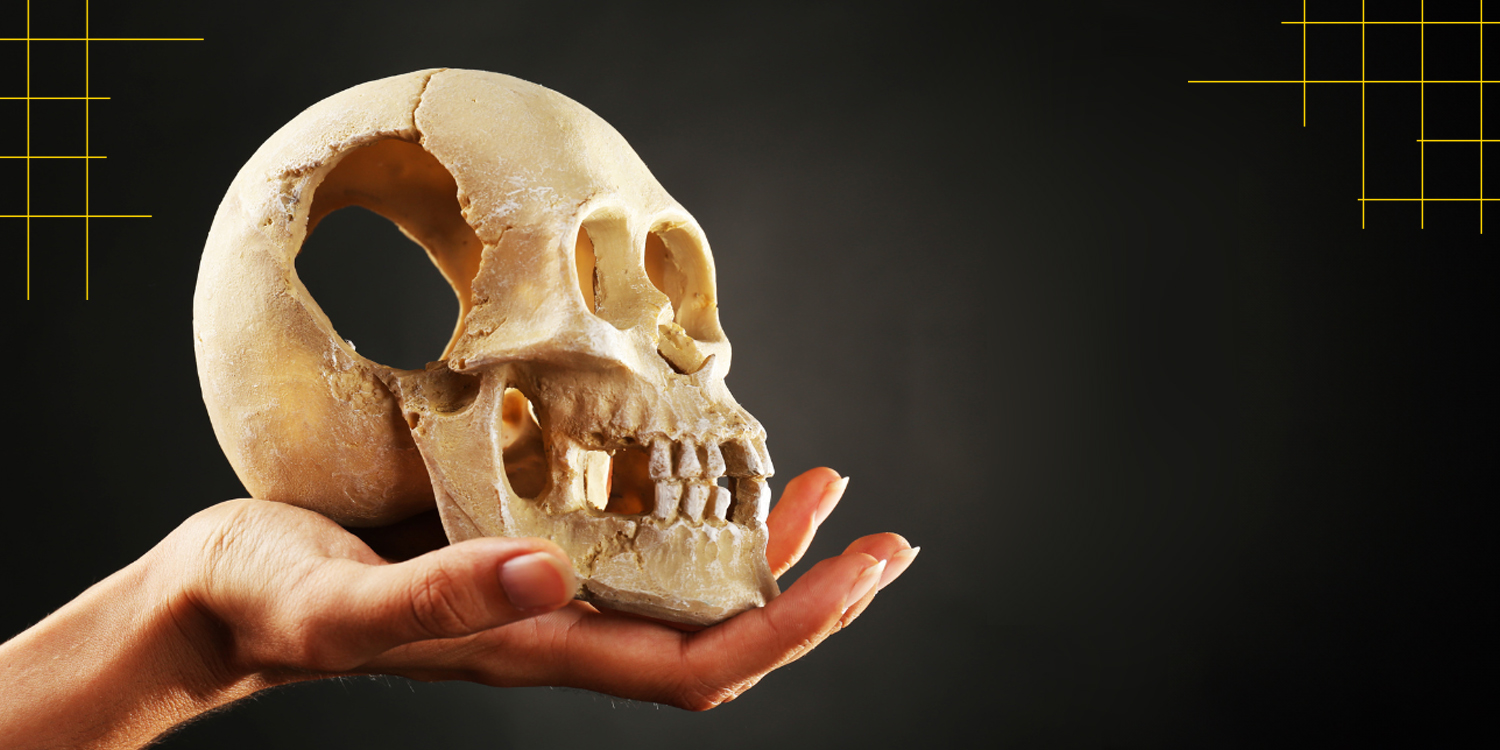 A hand extended holding an old human skull. Image courtesy of Canva