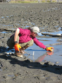 Suzanne McCarthy collecting methane at Tolsona mud volcano