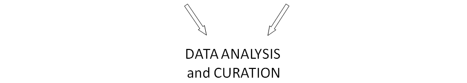 Both sequencing and Restriction Digest bring about Data Analysis and Curation