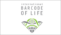 Barcode of Life logo