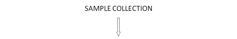 Start with a Sample Collection