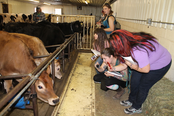 University of Alaska Fairbanks students visit the Northern Lights Dairy in Delta Junction as part of a natural resources management field tour.