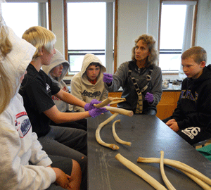 Student and K-12 children observing some whale bones