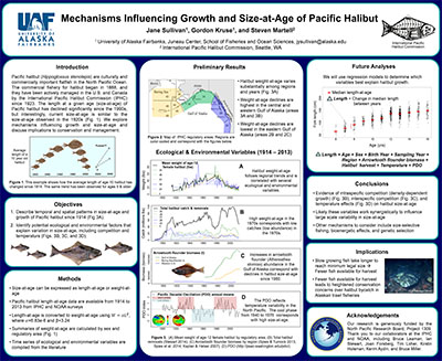 Mechanisms influencing growth and size-at-age of Pacific Halibut image