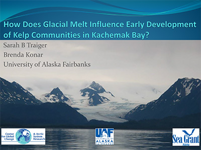 Glacial Melt Influence poster image