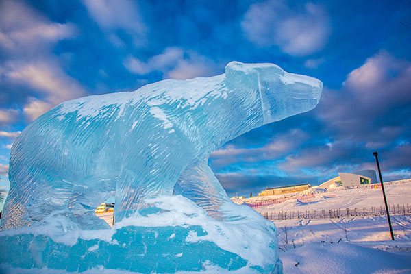 Polar bear ice sculpture on UAF campus