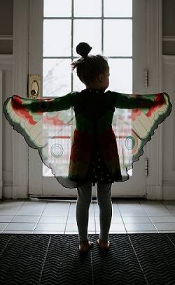 A child wearing a butterfly costume with the wings spread out.