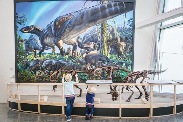The museum’s new dinosaur display features mounts built from plastic resin casts of real bones from the museum’s collection. The skeletons of the newly named species Ugrunaaluk kukpikensis are standing in front of a realistic painting of them by Anchorage artist James Havens. 