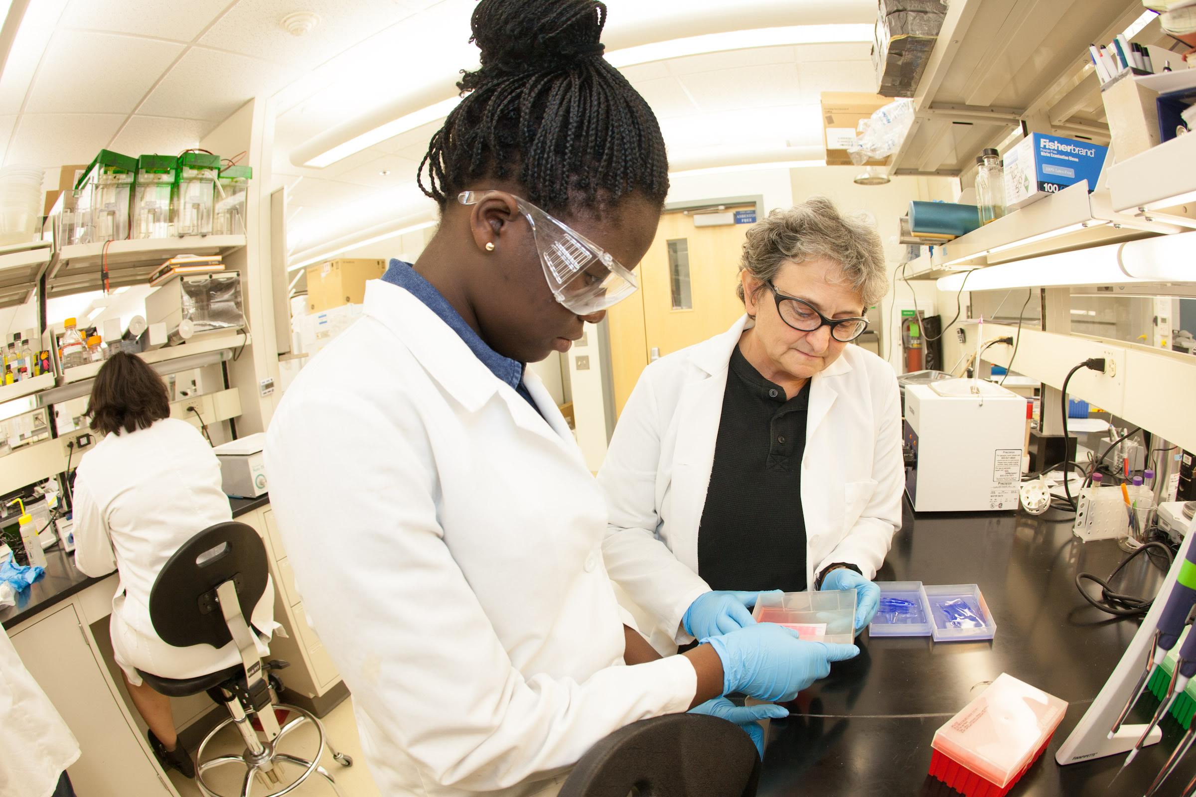 Ololade Olwale (left) and teacher, Paula Dell of Chicago look at samples taken in Antarctica at the Arcic health and Research Building.