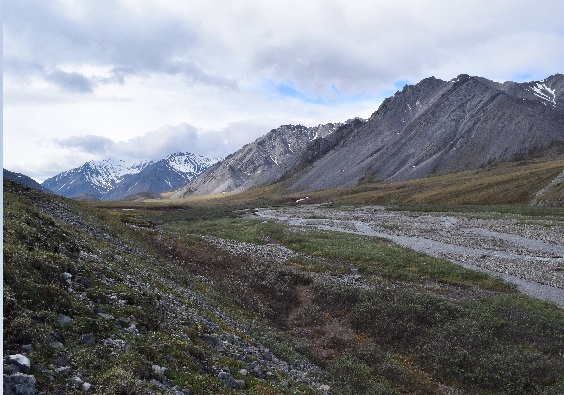 Itikmalak Valley in the Brooks Range