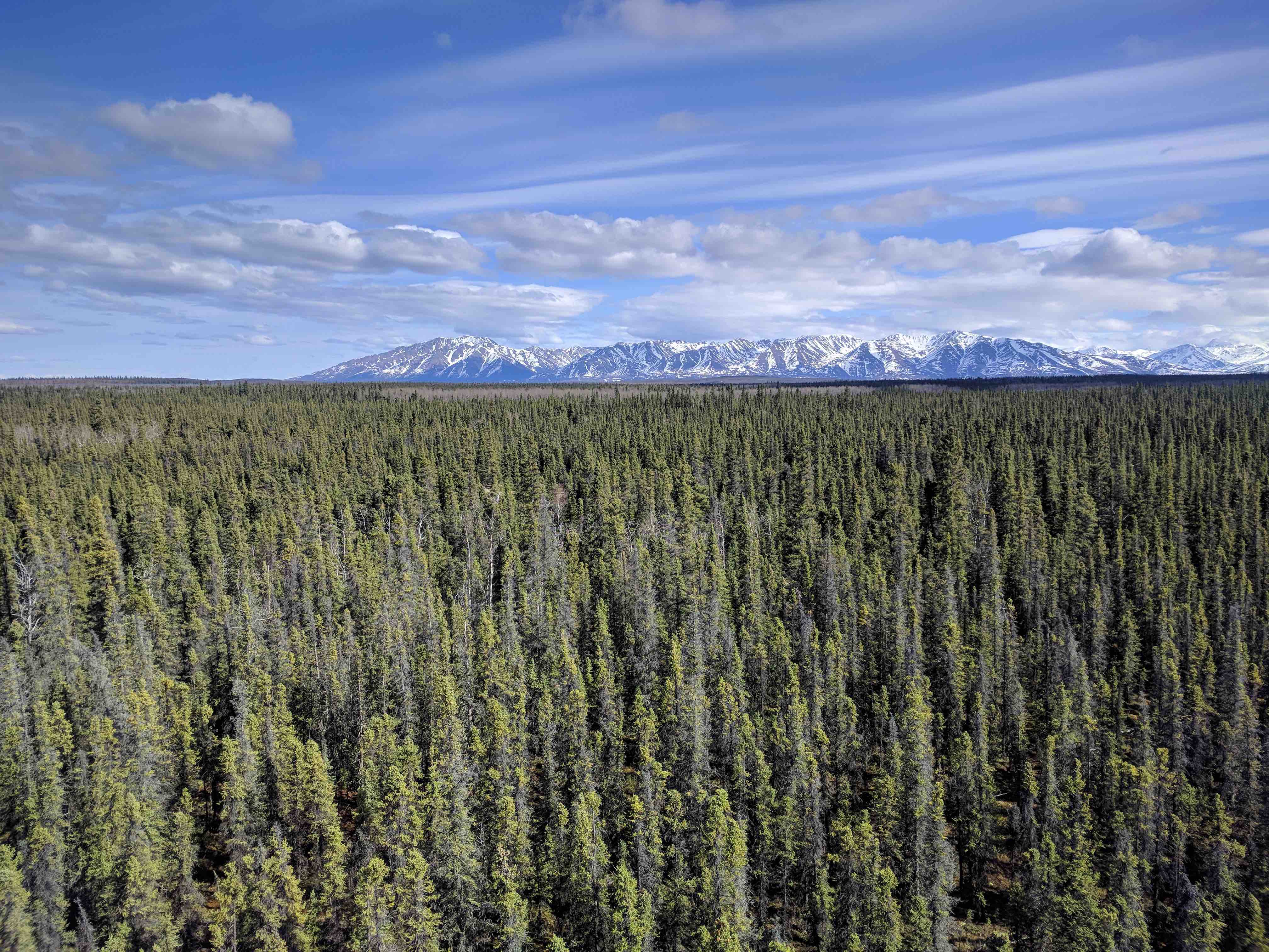 Interior Alaska instrument site