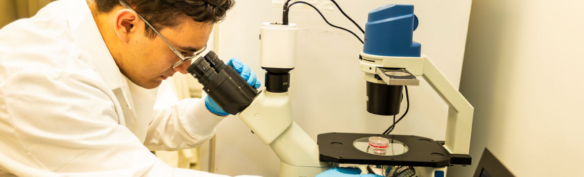UAF biomedical student Daniel Dykes peers into a microscope in a research lab