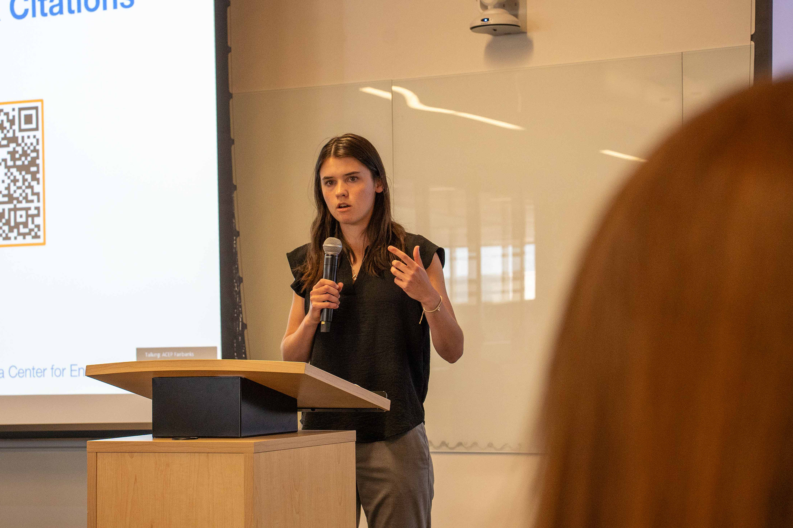 A person is giving a presentation