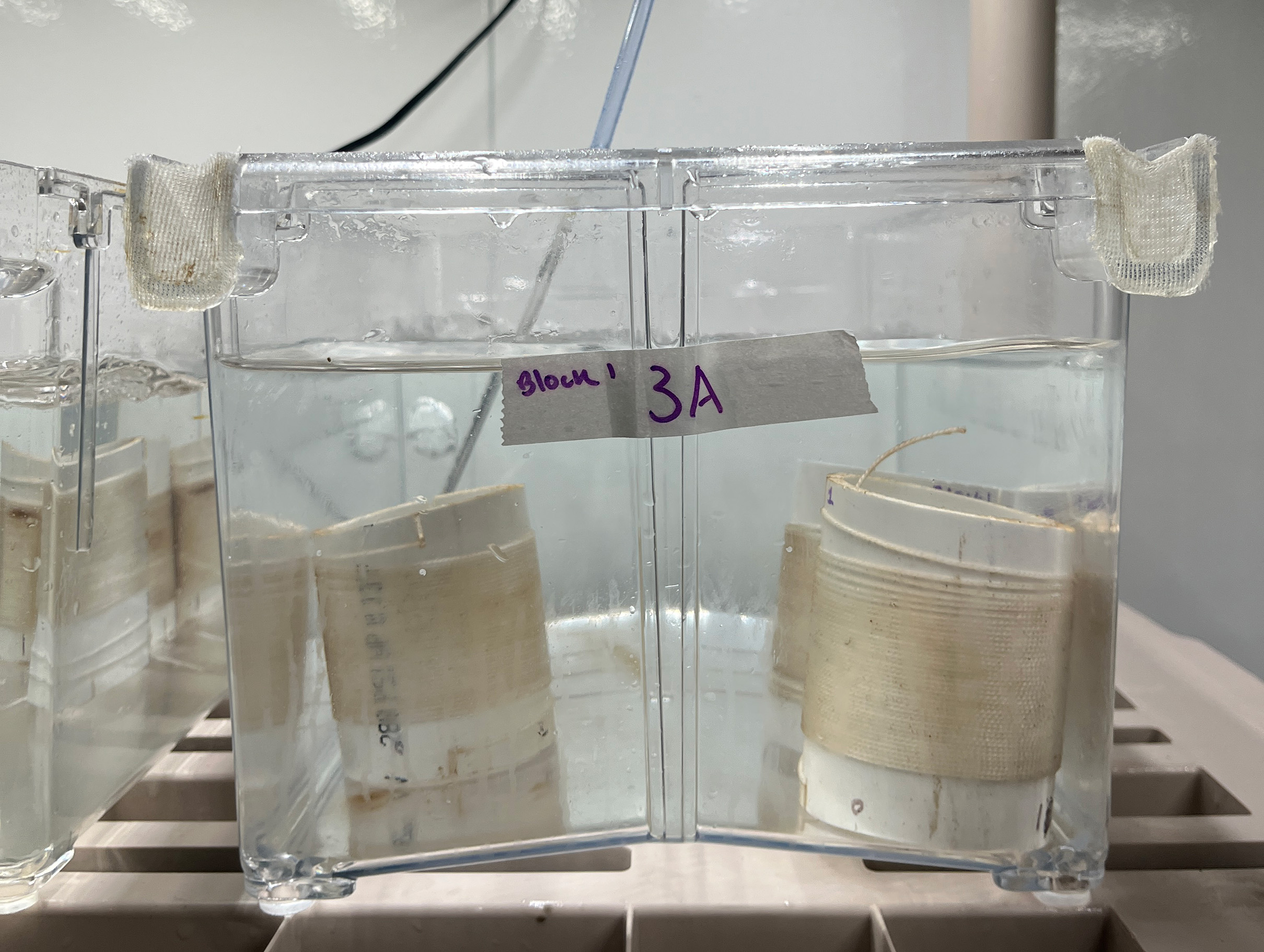 See caption and credit for image description