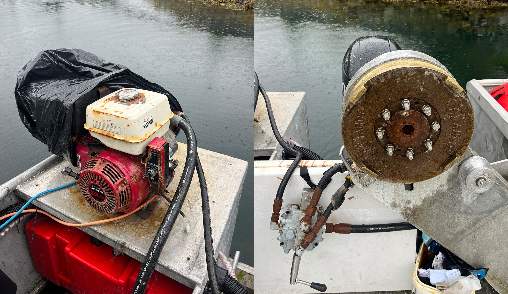 See caption and credit for image description