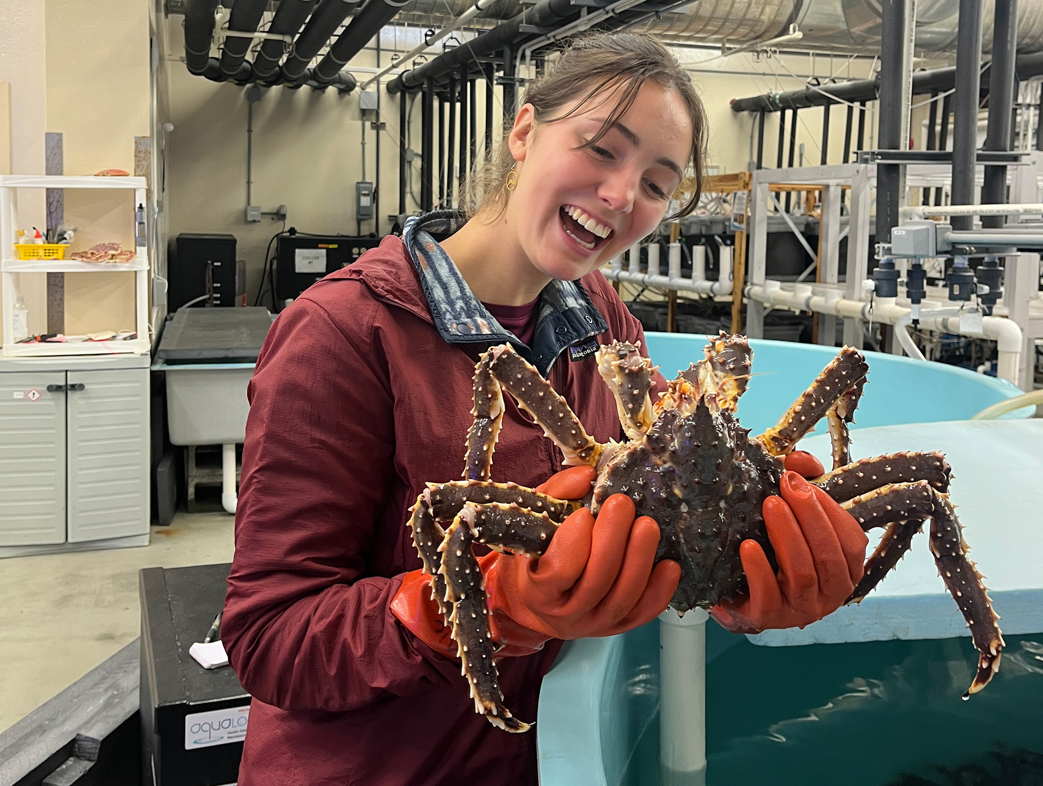 See caption and credit below image for image description