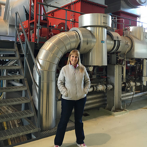 Author Gwen Holdmann visiting the Hellisheiði Geothermal Power Plant outside of Reykjavik, Iceland