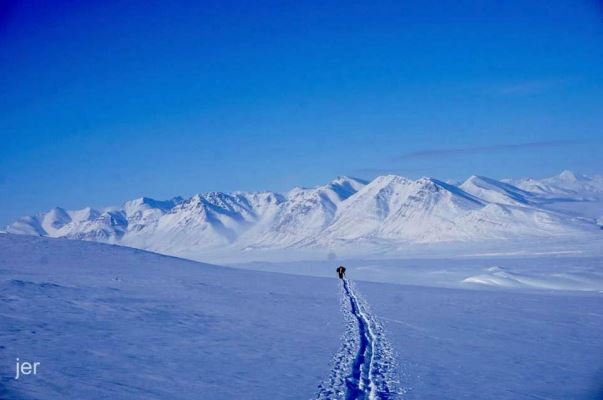 Arctic mountains with two skiers