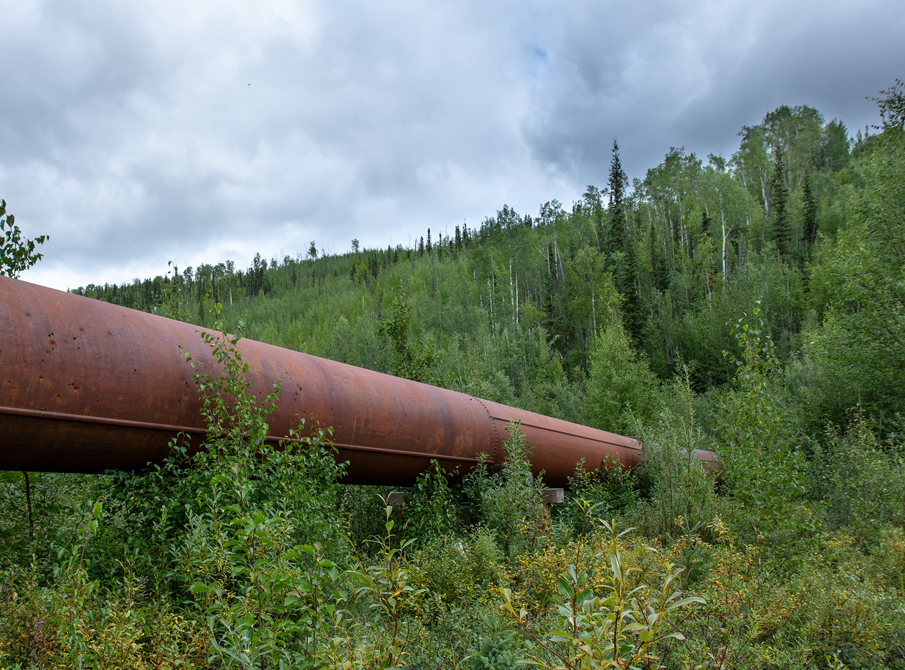 See caption and credit below for image description