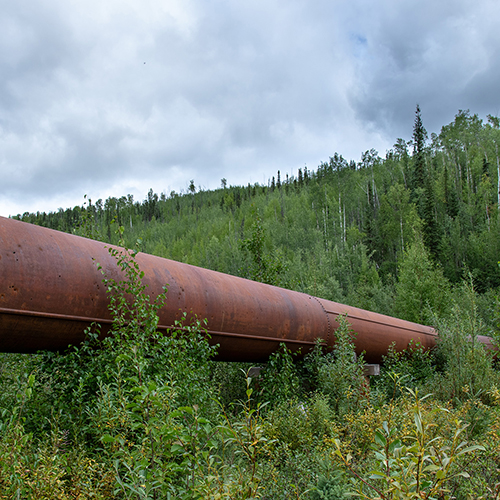 Davidson Ditch. Photo courtesy of Bax Bond.