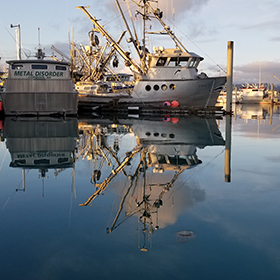 Fishing vessels in the harbor