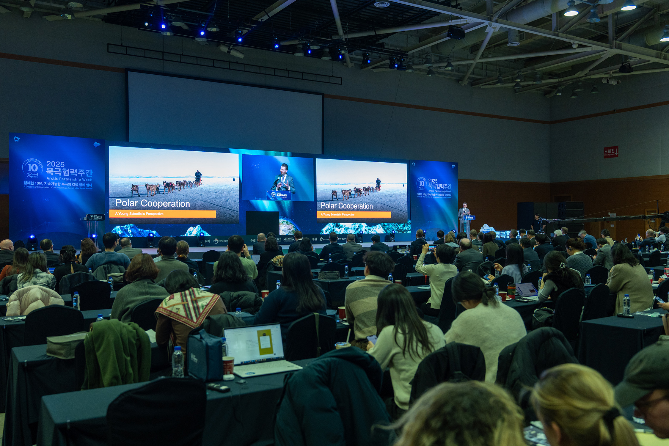 See caption and credit below image for image description