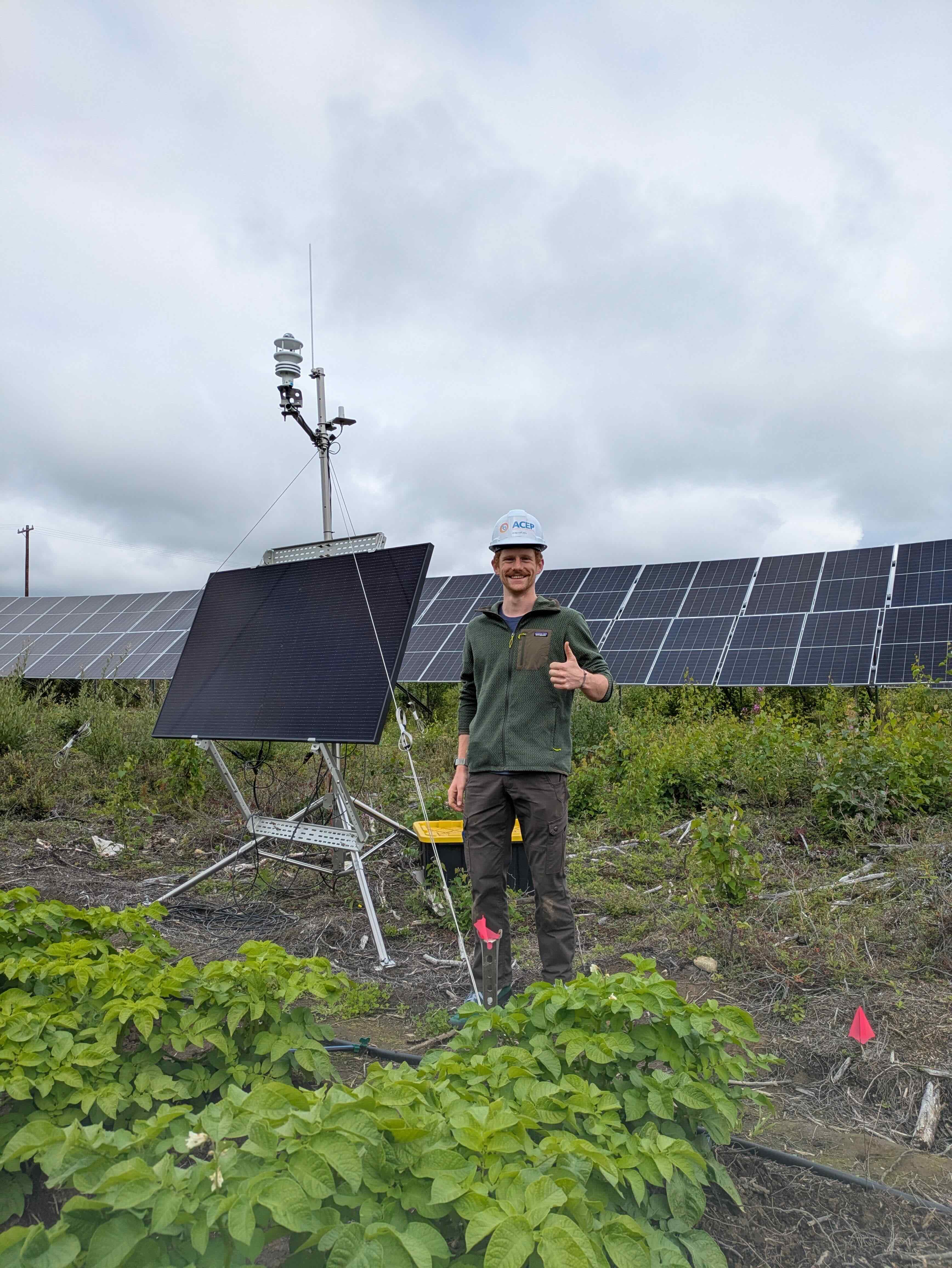 See caption and credit below image for image description