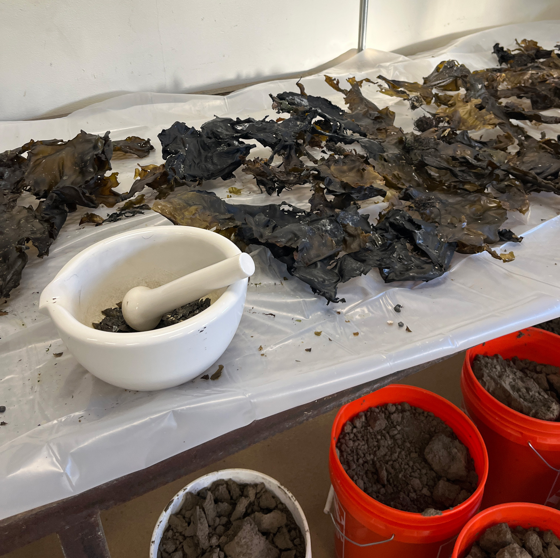 See caption and credit for image description