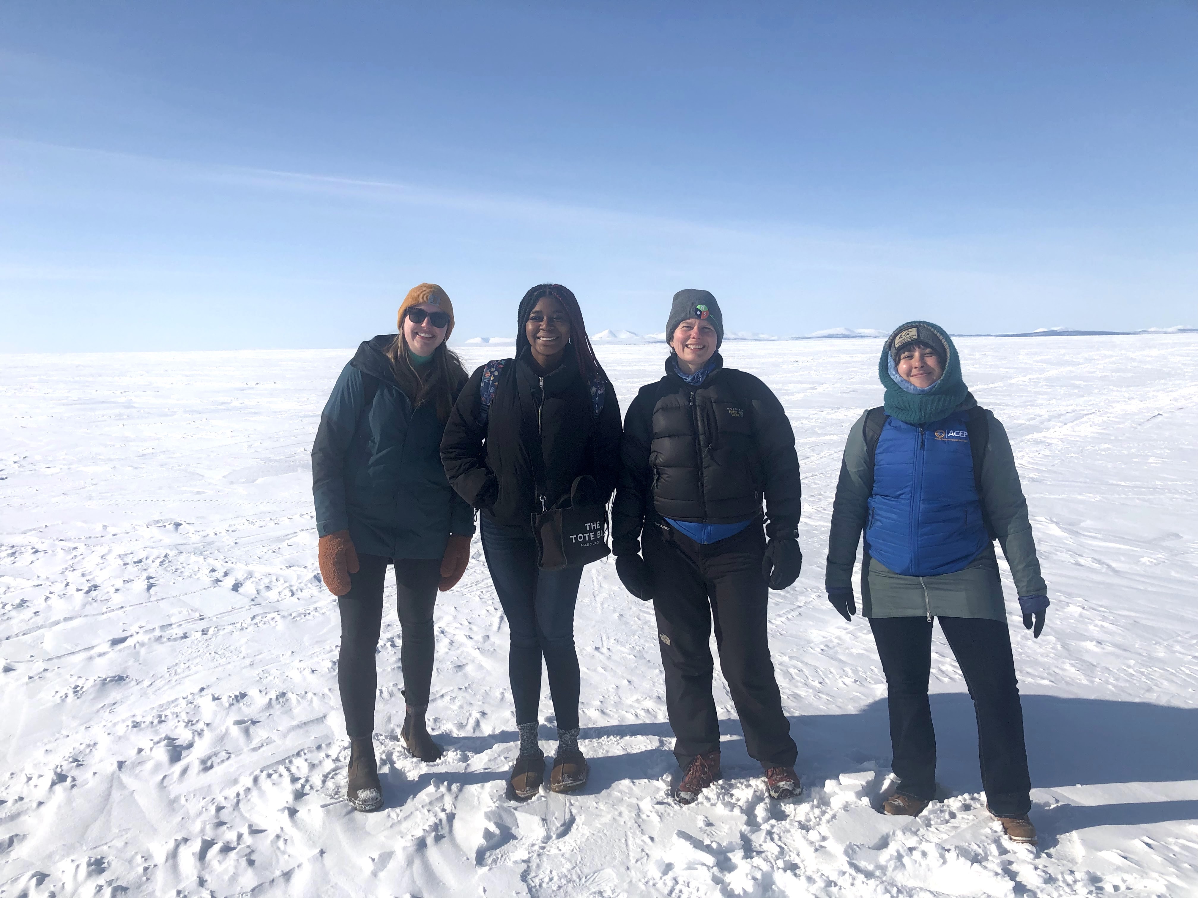 described by the caption and credit below image