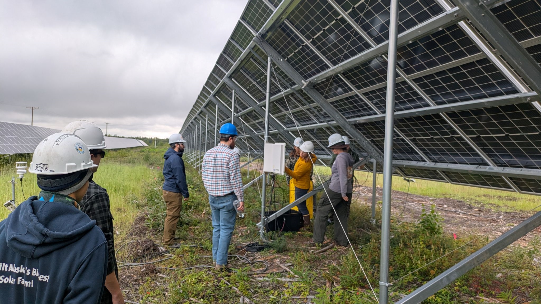 See caption and credit below image for image description