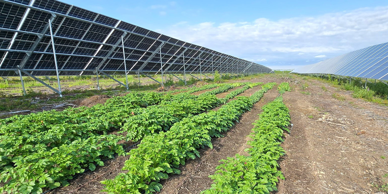 See caption and credit below image for image description