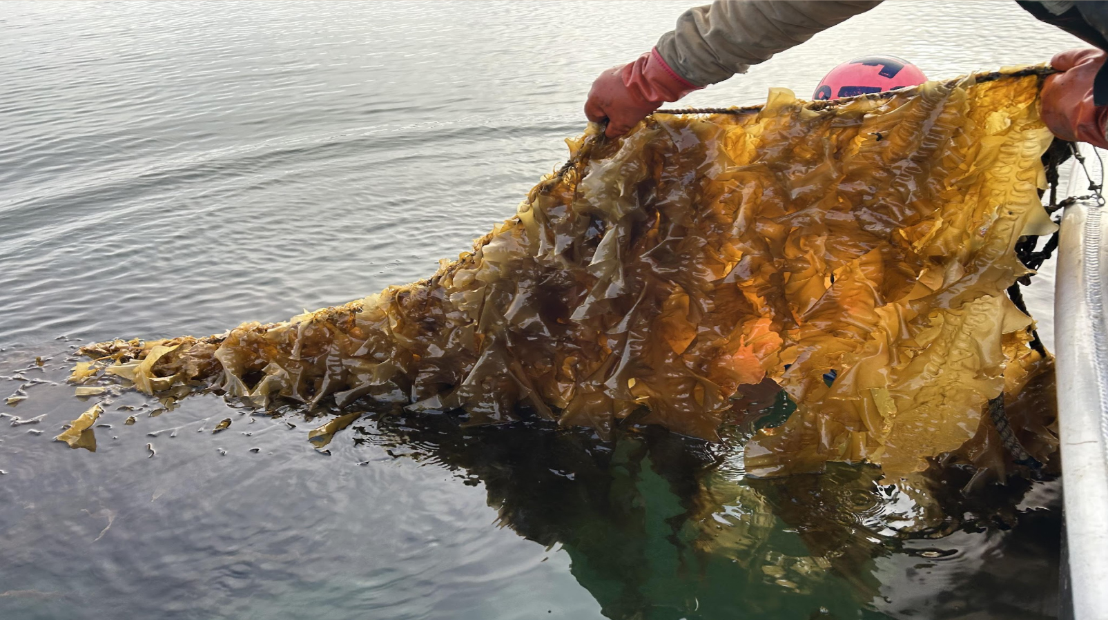 See caption and credit for image description