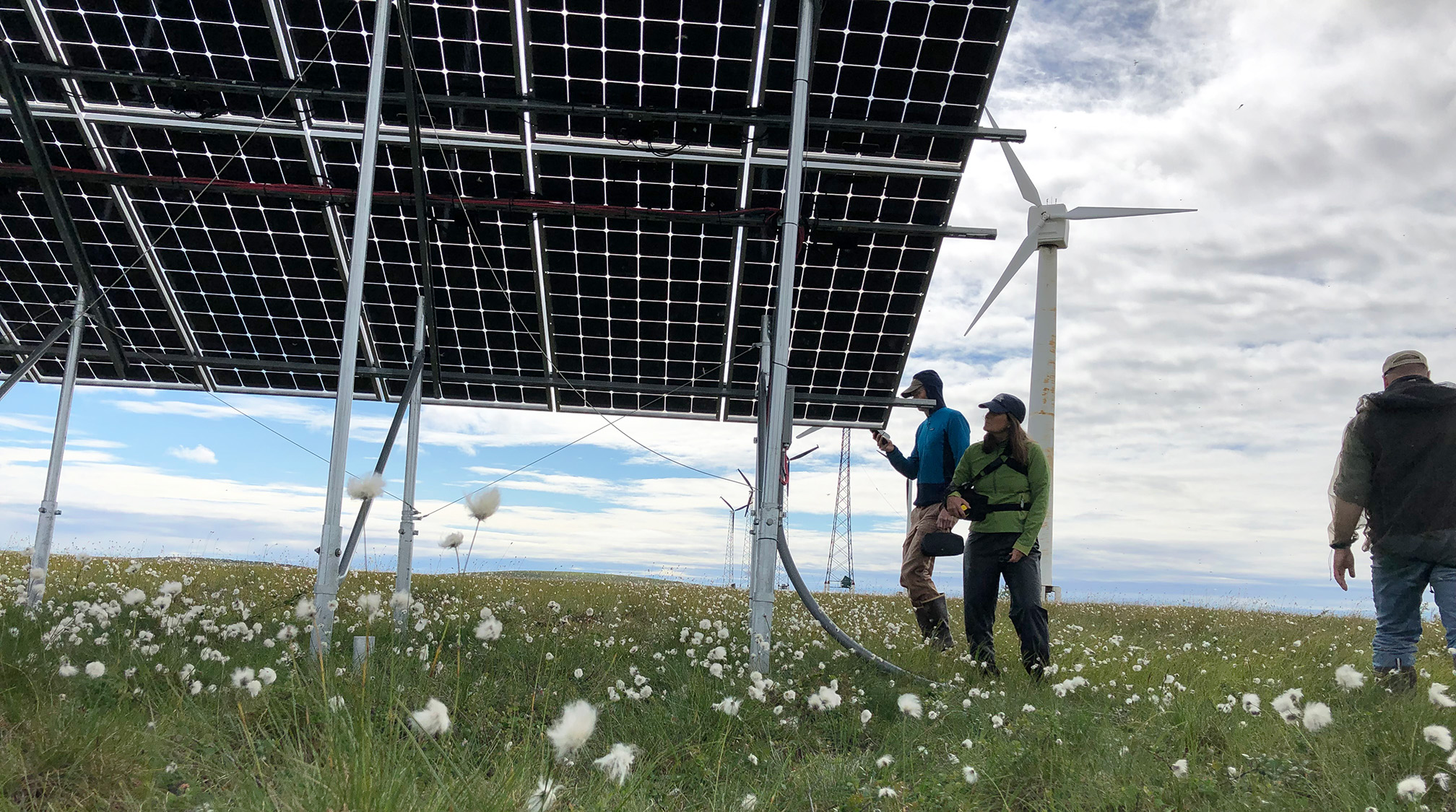 See caption and credit below for image description