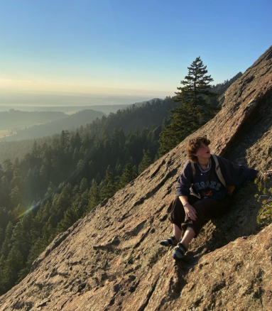 Image description below image in caption