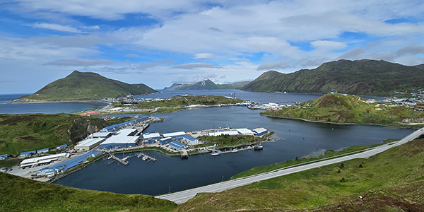 A view of a small community along a bay from a hill.