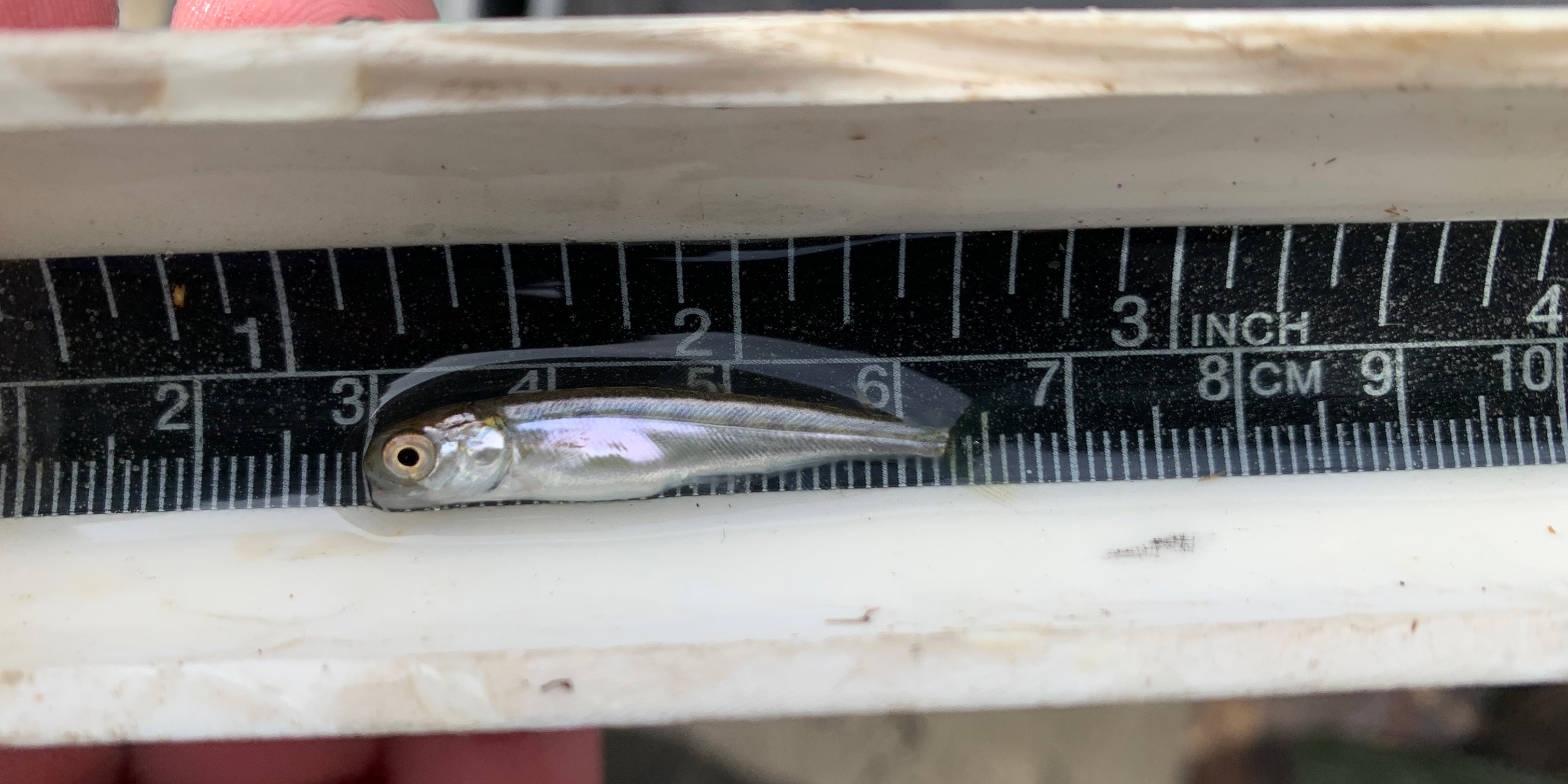 See caption and credit for image description