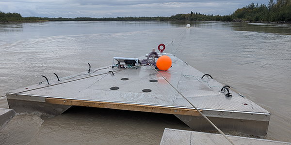 debris diverter system