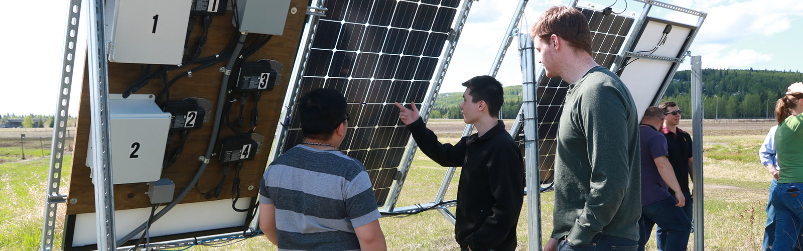 People looking at solar panels
