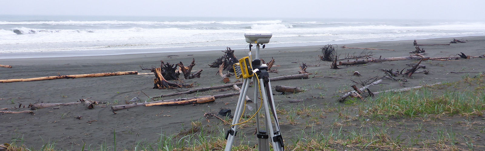 Equipment on a beach filled with driftwood
