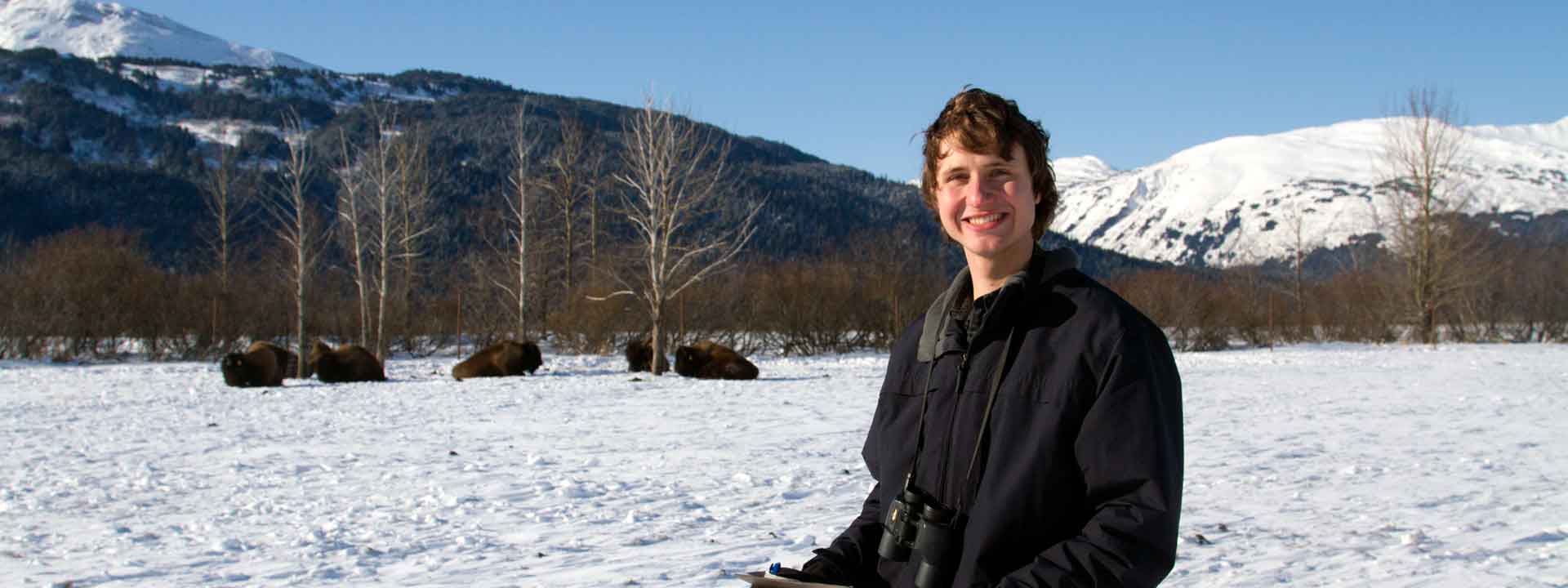 UAF student Luke Rogers studying bison