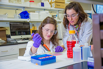 UAF students doing research in a lab