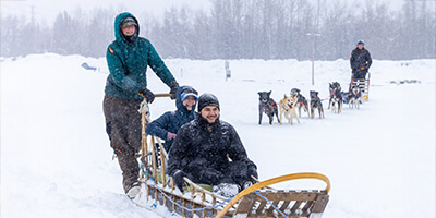 dog sledding