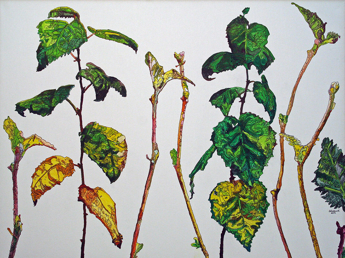Painting of young birch buds and leaves