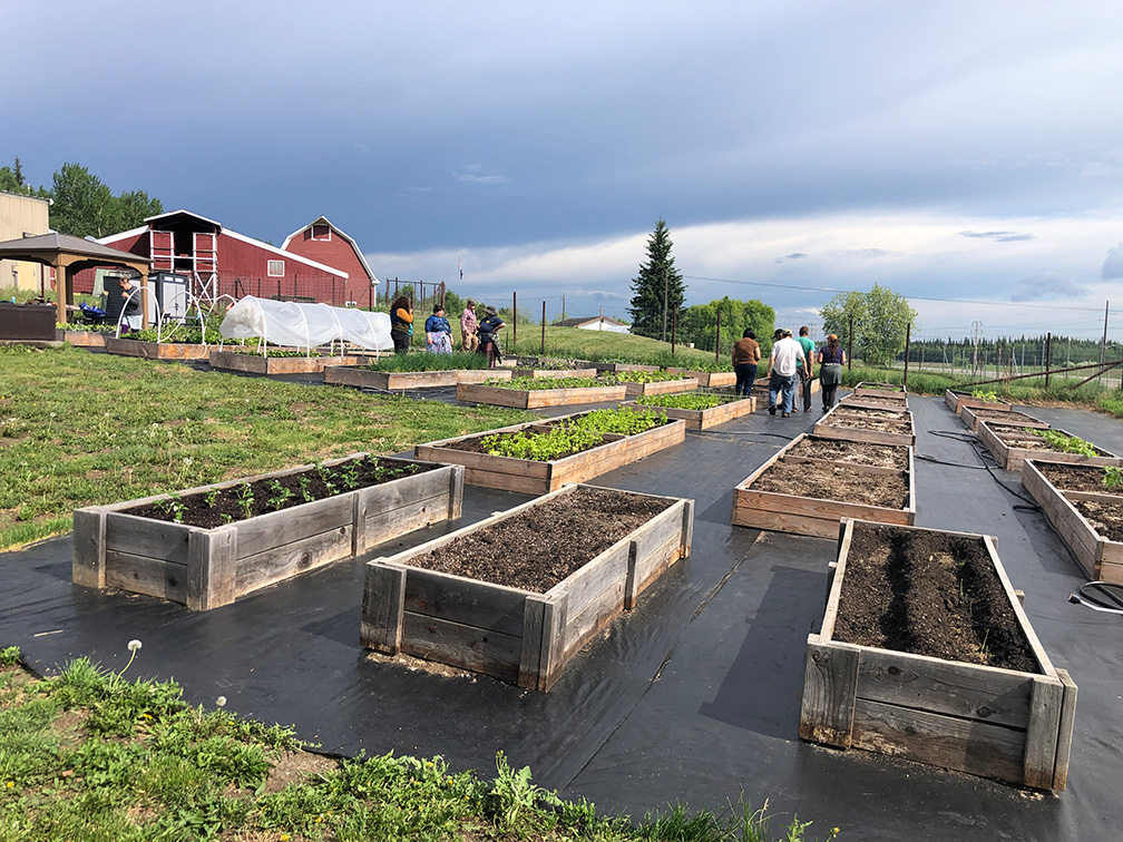 Program participants viewing a raised garden bed