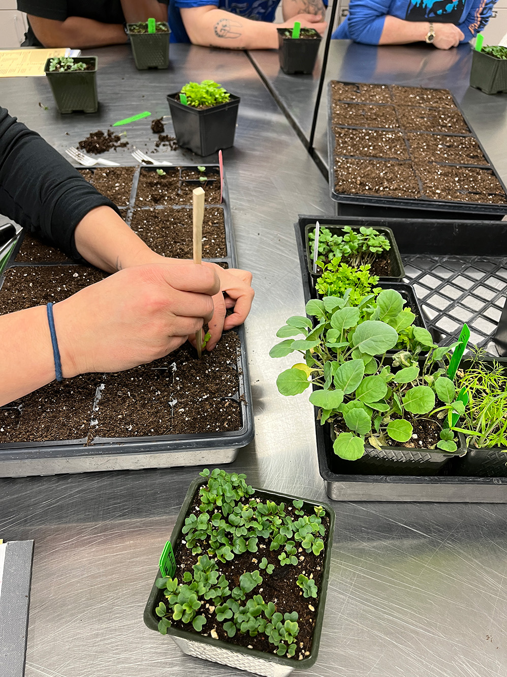 Seeding Workshop photo