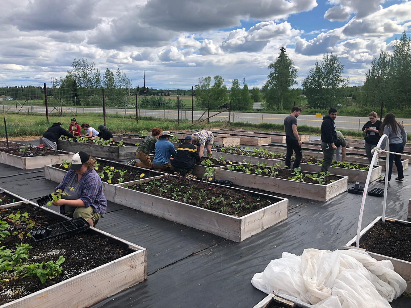 Workshop on planting in raised garden beds