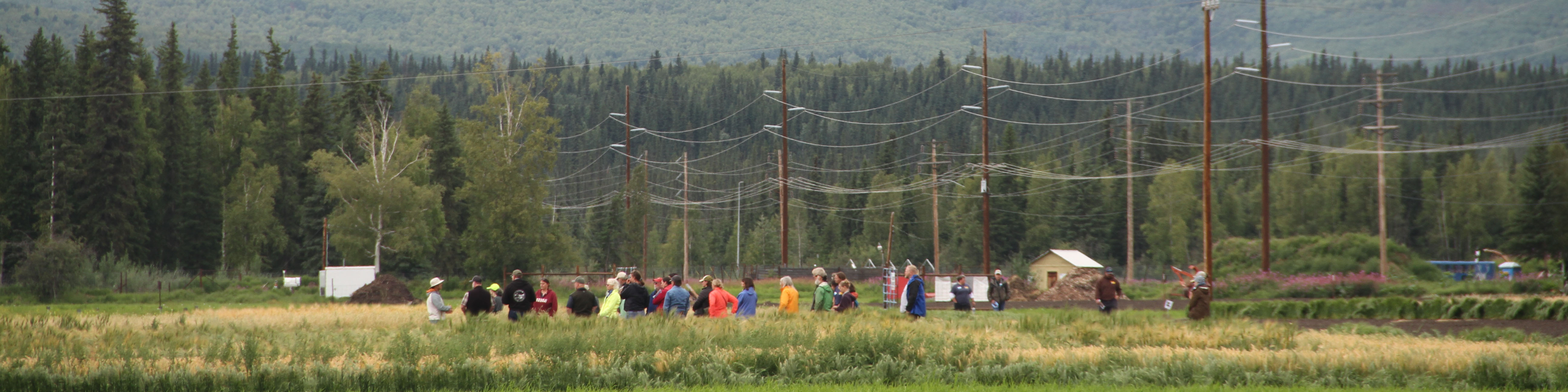 People stand in a field of grain
