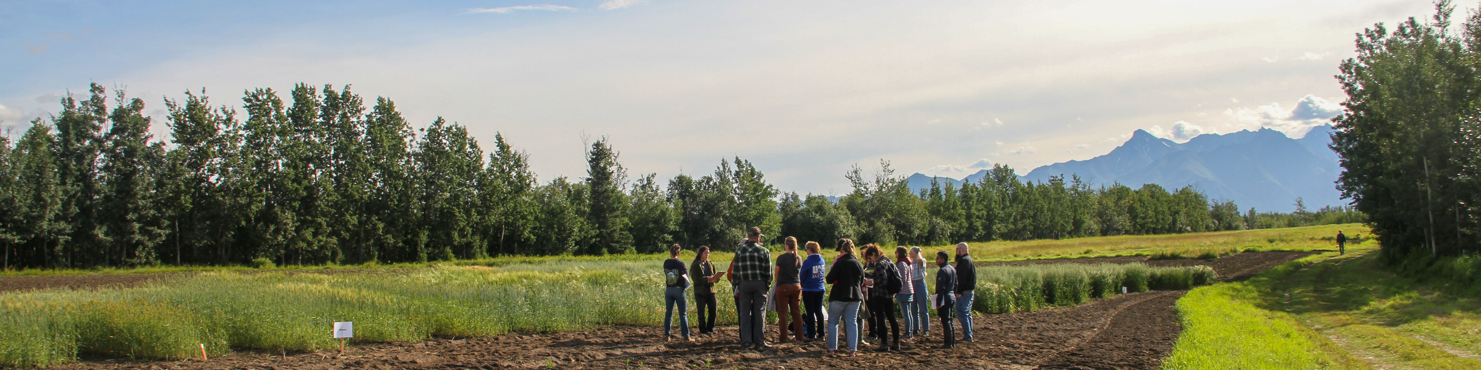 People stand in a field with a mountain backdrop