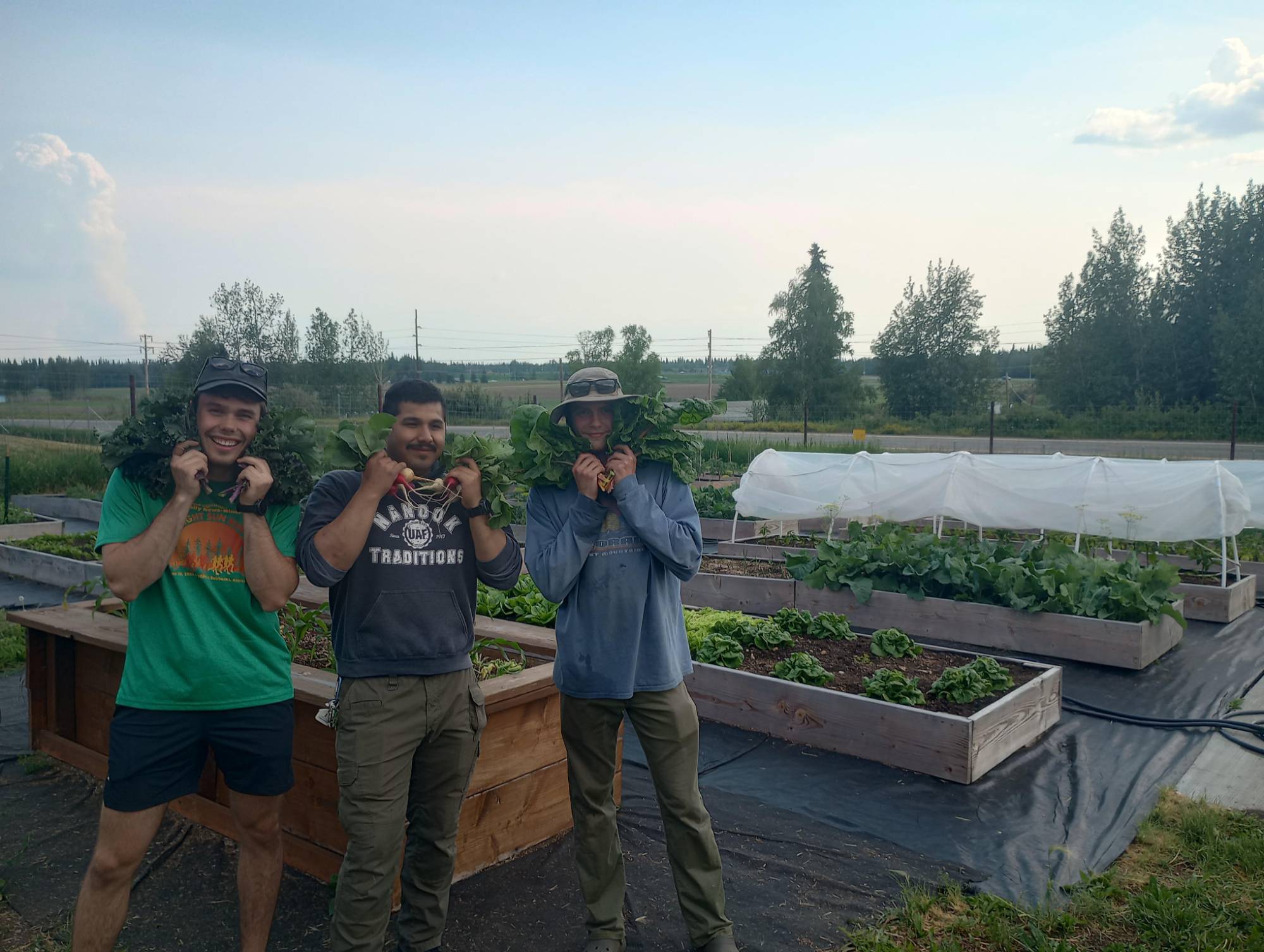 harvest crew
