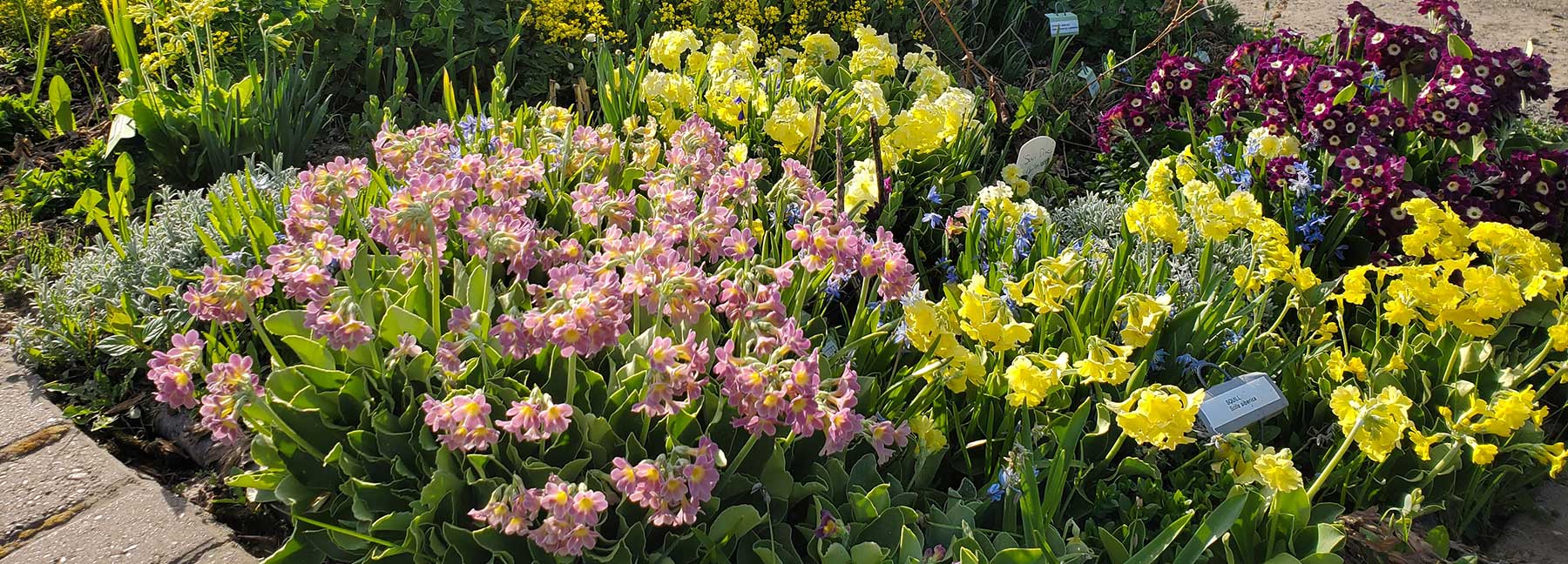 Flower bed